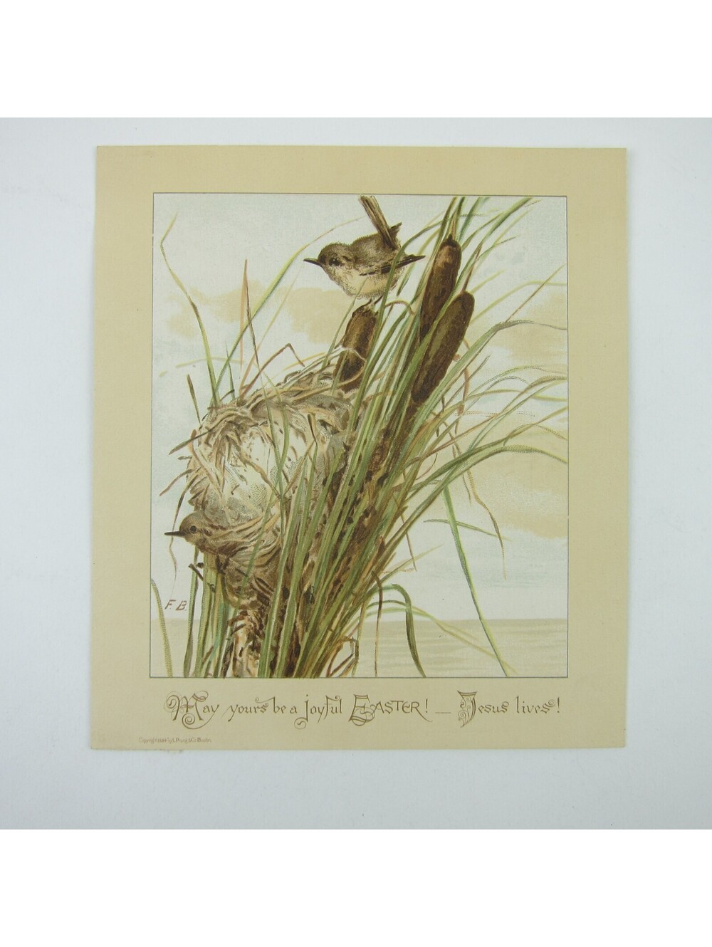 Victorian Easter Greeting Card Birds Nest in Cattails Yellow Green Antique 1884